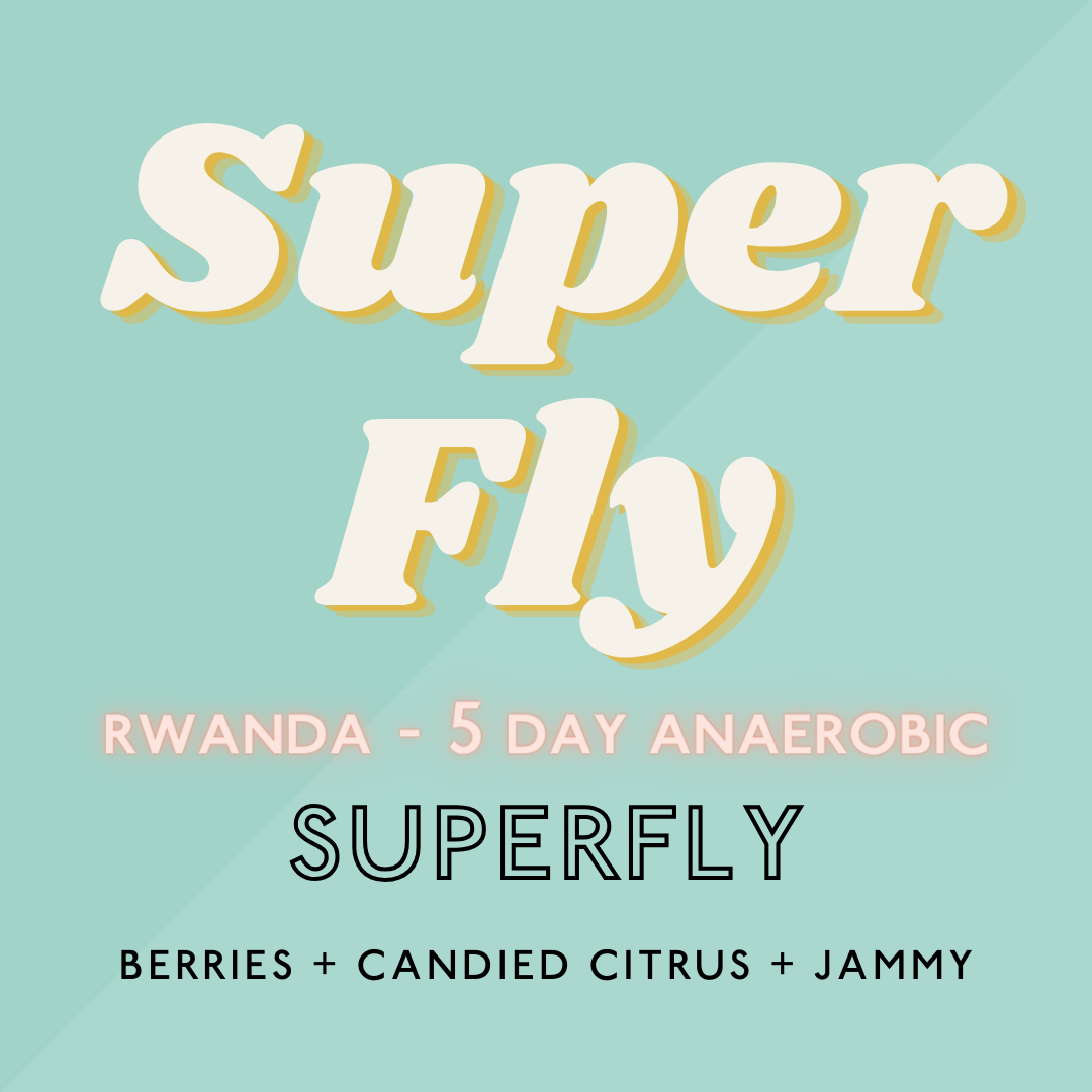 Superfly into hot sale the circle