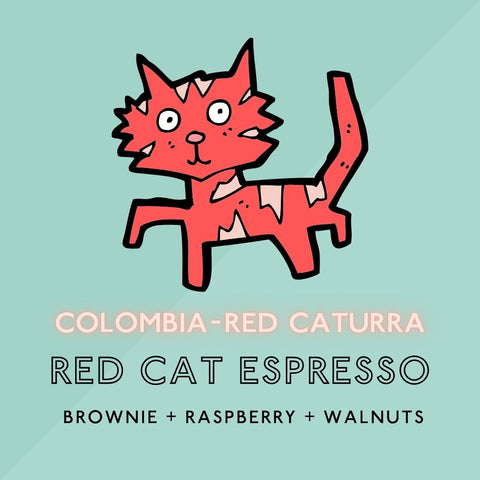 Red Cat Espresso - Medium Roast (SP)