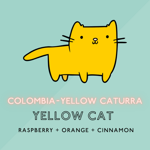 Yellow Cat - Light Roast (SP)