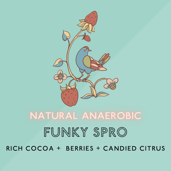 Funky Spro: Med Roast (SO)