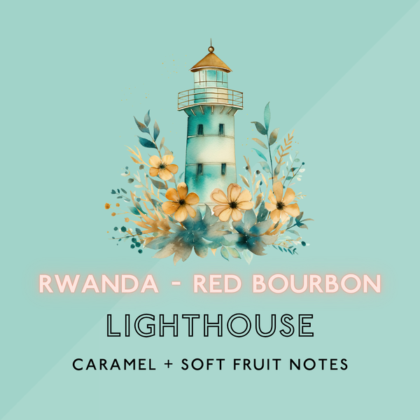 Lighthouse: Light Roast (SO)
