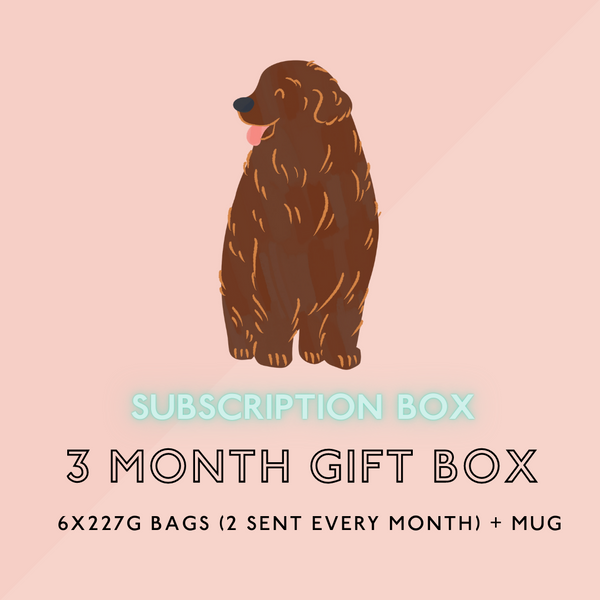 3 Month Gift Subscription (6x227g bags + Mug)