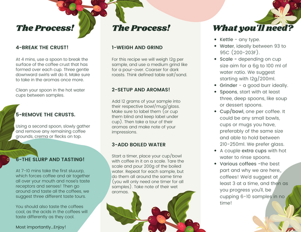 All the Coffees: Sampler Pack