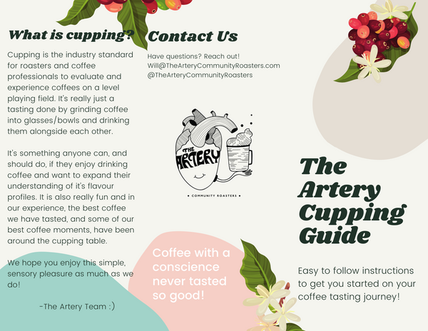 All the Coffees: Sampler Pack