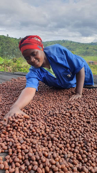 Funky Fruits 2.0: Light Roast (SO)