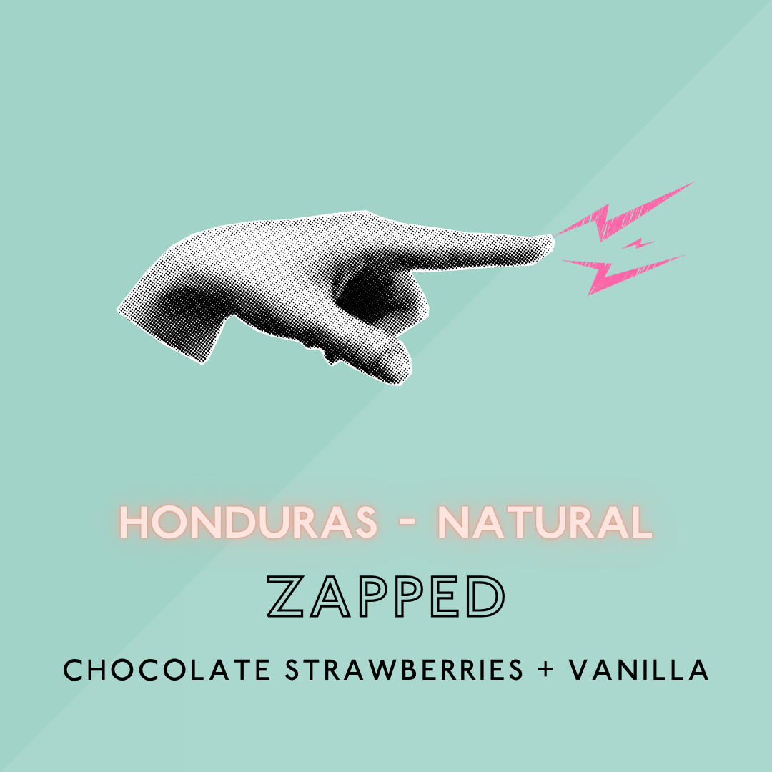 Zapped: Natural Light Roast (SP)