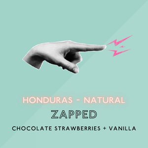 Zapped: Natural Light Roast (SP)
