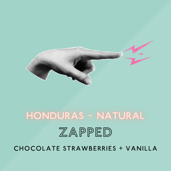 Zapped: Natural Light Roast (SP)
