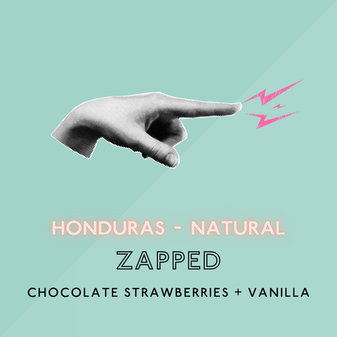 Zapped: Natural Light Roast (SP)