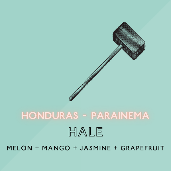 HALE: Parainema / Natural (SP)