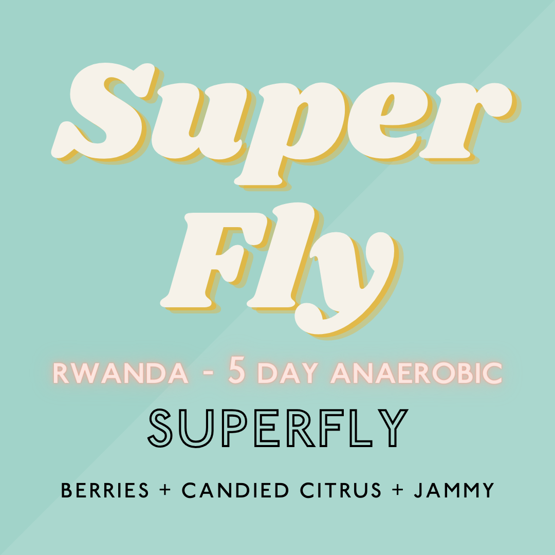 Superfly (5 Day Anaerobic Microlot): Light Roast (SP)