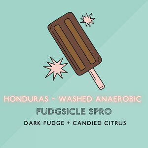 Fudgesicle Spro (Anaerobic): Med Roast (Microlot)