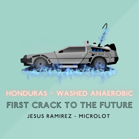 First Crack to the Future (Anaerobic): Med Roast (Microlot)