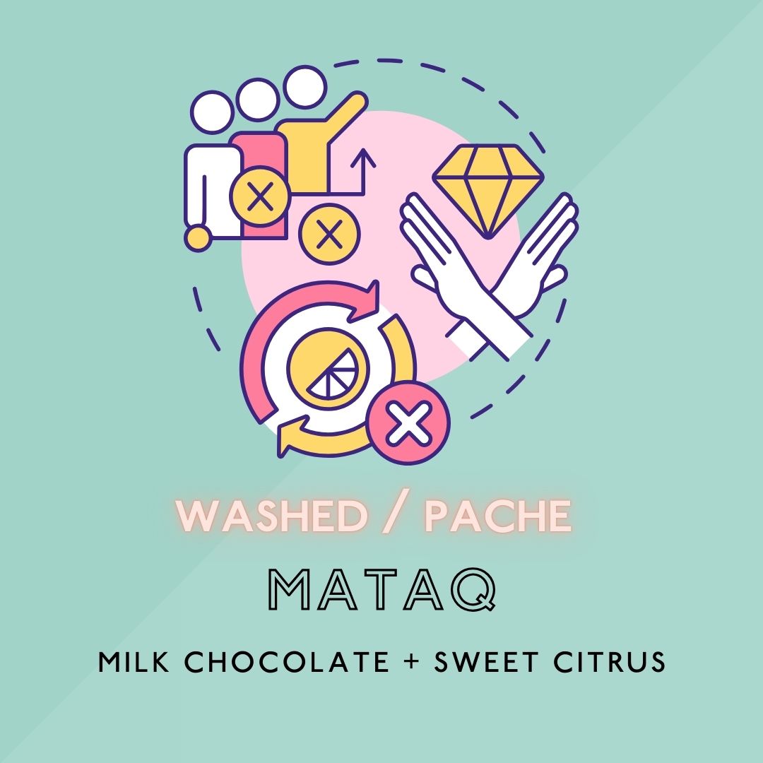 MATAQ: Light Roast (SP)