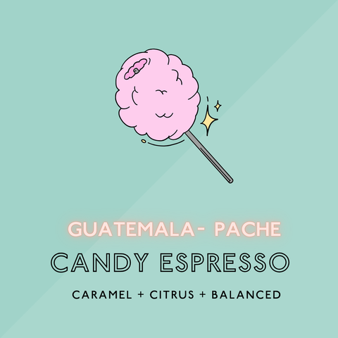 Candy Espresso: Medium Roast (SP)
