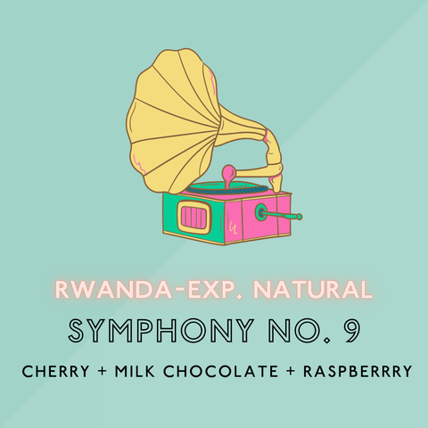 Symphony No. 9 (Experimental Natural): Light Roast (SO)