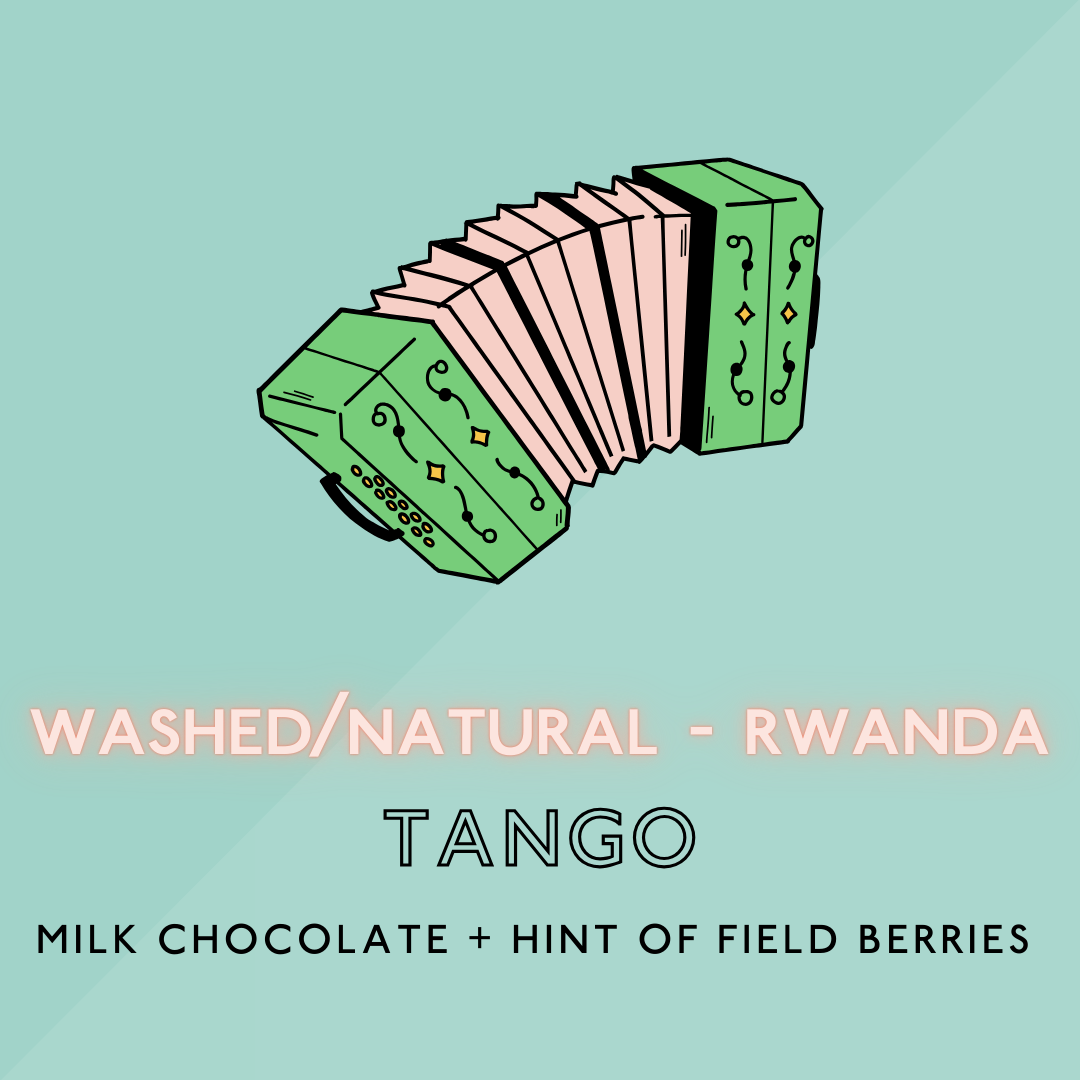 Tango: Light Roast (SO)