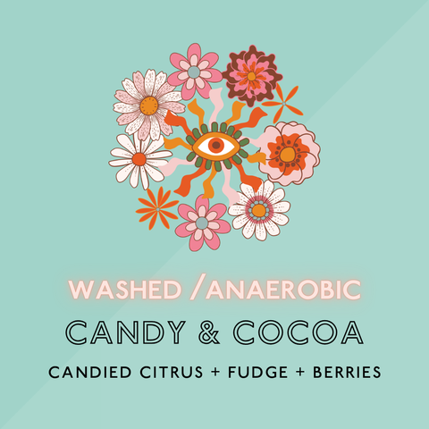 Candy & Cocoa: Light Roast (SP & SO)
