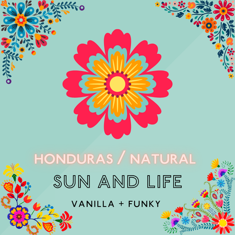 Sun & Life (Natural): Light Roast (SP Micro lot)