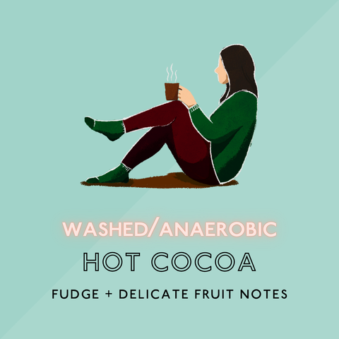 Hot Cocoa: Medium Roast (SP & SO)