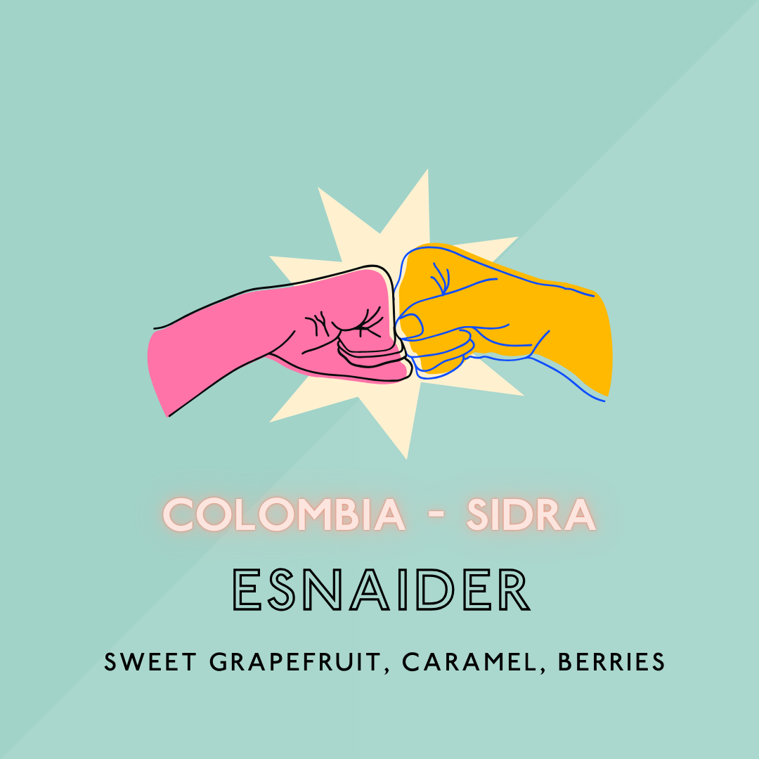 Esnaider: Sidra/Light Roast (SP)