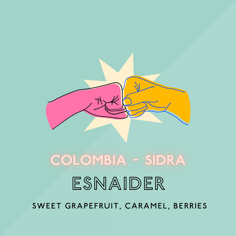 Esnaider: Sidra/Light Roast (SP)
