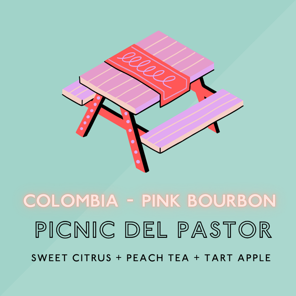 Picnic del Pastor: Light Roast (SP)