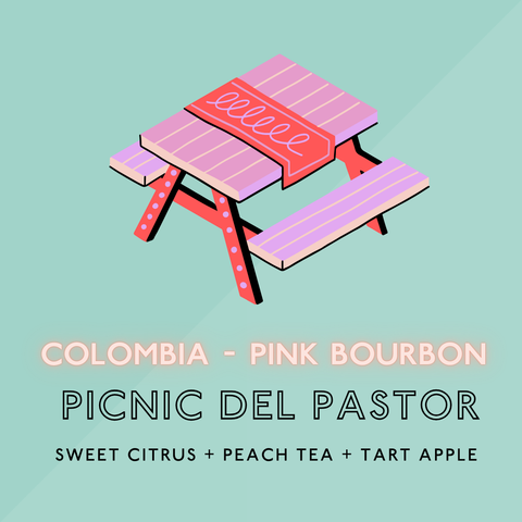 Picnic del Pastor: Light Roast (SP)
