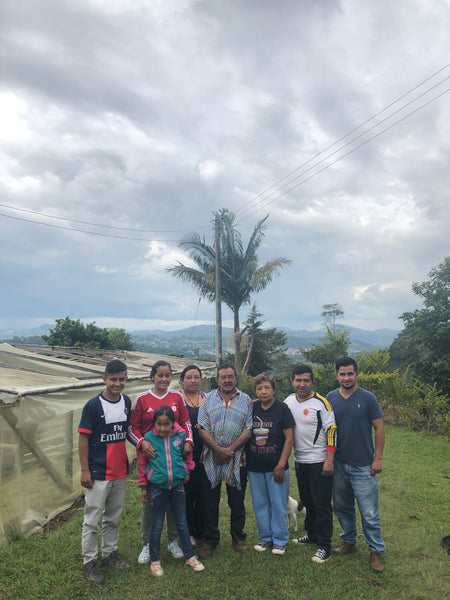 Esnaider: Sidra/Light Roast (SP)