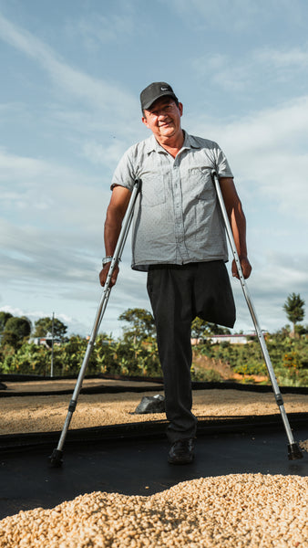 Picnic del Pastor: Light Roast (SP)