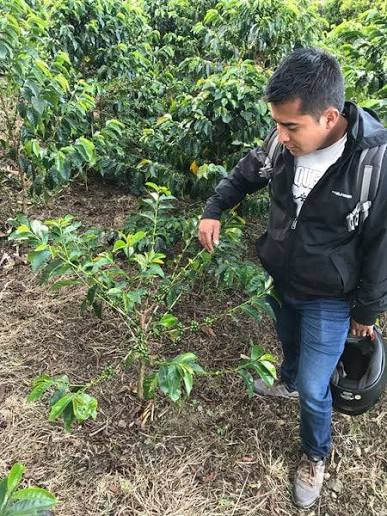 Artery x tin. Vol. 1 (Frank Torres)