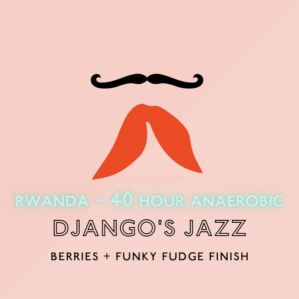 Django's Jazz (40hr Anaerobic): Light Roast (SO)