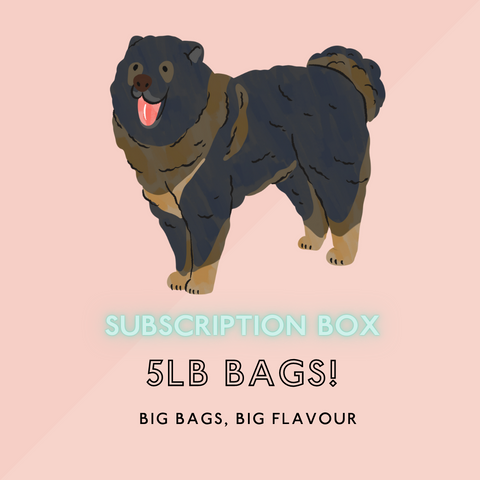 5lb Big Bags Box