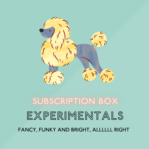 Experimental & Adventurous Subscription Box