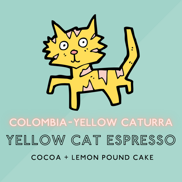 Yellow Cat Espresso - Medium Roast (SP)