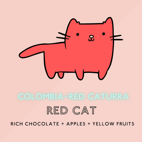 Red Cat - Light Roast (SP)