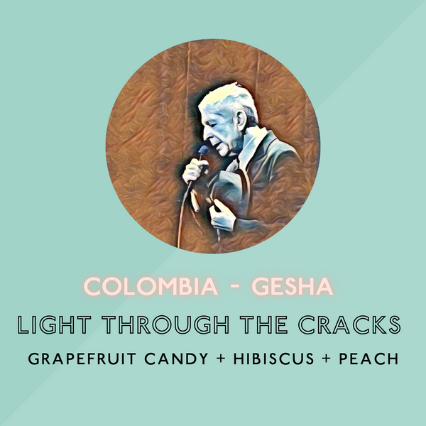 Light Through the Cracks (Gesha): Light Roast (SP)
