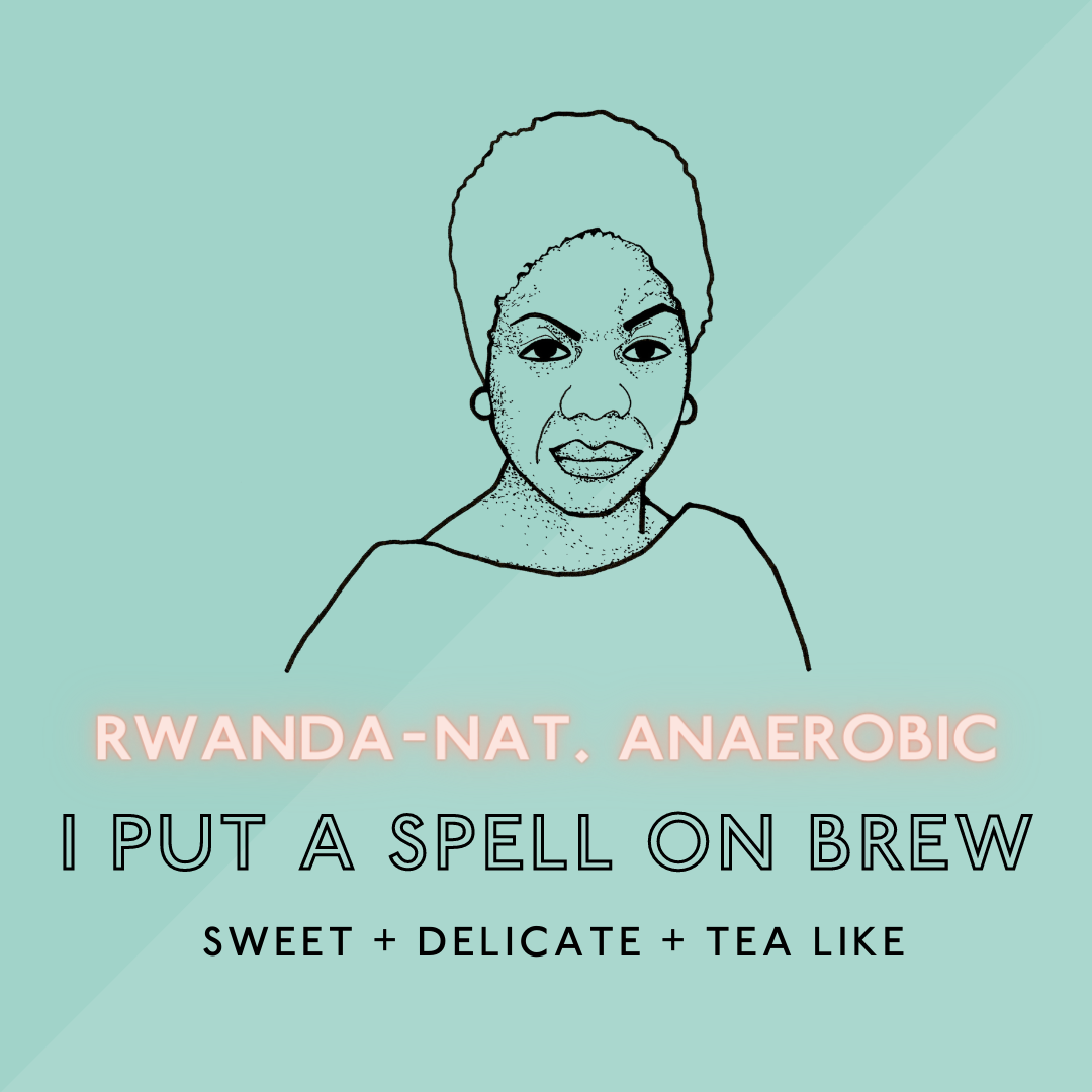 I Put a Spell on brew (Natural Anaerobic): Light Roast (SO)